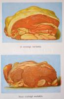 Malatinszky Fanny Szakácskönyve. 700 recepttel, 10 oldal színes műlappal, és 2 fekete ábrával. Budap...