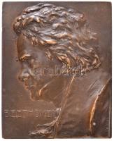 Ausztria ~1910. Beethoven Br plakett kitámasztóval. Szign.: Franz Stiasny (126,57g/65x53mm) T:2 / Austria ~1910. Beethoven Br plaque with support on back. Sign.: Franz Stiasny (126,57g/65x53mm) C:XF
