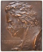 Ausztria ~1910. "Beethoven" Br plakett kitámasztóval. Szign.: Franz Stiasny (126,57g/65x53mm) T:2 / Austria ~1910. "Beethoven" Br plaque with support on back. Sign.: Franz Stiasny (126,57g/65x53mm) C:XF