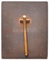 Ausztria ~1910. "Beethoven" Br plakett kitámasztóval. Szign.: Franz Stiasny (126,57g/65x53...