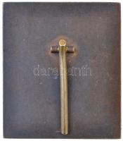 Ausztria ~1910. "Wagner" Br plakett kitámasztóval. Szign.: Franz Stiasny (126,57g/65x53mm)...