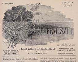 1901 A természet, 2 db, IV. évf. XXI.,XXIII. számok, Szerk.: Dr. Lendl Adolf, Lakatos Károly. Jó áll...