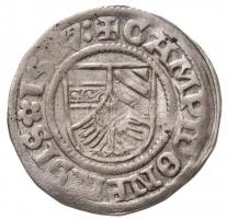 Német-római Birodalom 1482-1564. 13db-os érdekes ezüstpénz tétel német és osztrák államok területérő...