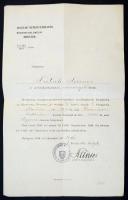 1918 Őszírózsás forradalom kereskedelemügyi minisztériumi államtitkár aláírt kinevezési okirat