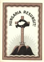 Hungaria Resurgit! kiadja a Magyar Nemzeti Szövetség / irredenta art postcard (EK)