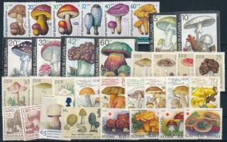 Gomba motívum 11 klf sor + 11 klf önálló érték + 1 kisív 3 db stecklapon Mushroom 11 sets + 11 stamp...