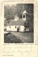 Szelistye, Seliste; Biserica de lemn de la Schitul Foltea / Foltea remeteségi ortodox fatemplom / The wooden orthodox church from Hermitage Foltea (EK)