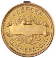 ~1930. "Gondviselés Országos Központi Segélyző Társulat / Az érdem elismeréseül" aranyozot...