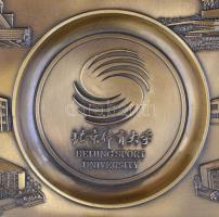 Kínai emlékplakett a pekingi sport egyetem fennállásának 50. évfordulója alkalmából .d:19,5 cm / Chi...