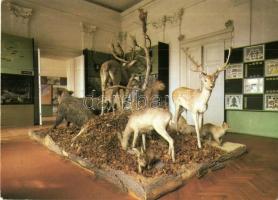 60 db MODERN vegyes témájú képeslap, motívumlapok (állat-, folklór- és üdvözlőlapok), magyar és külf...