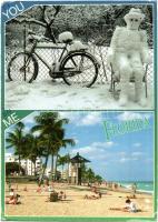 60 db MODERN vegyes témájú képeslap, motívumlapok (állat-, folklór- és üdvözlőlapok), magyar és külf...