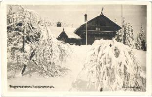 48 db RÉGI norvég városképes lap / 48 pre-1945 Norwegian town-view postcards