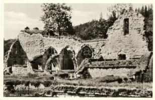 Alvastra, Klosterruin / cloister ruins