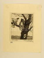 Arthur Paunzen (1890-1940): Zehn ex libris. Heinrich Saar Wien 1924. 9 db aláírt rézkarc, számozott ...