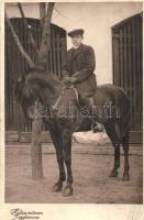 31 db MODERN lovas motívumlap / 31 modern horse motive cards