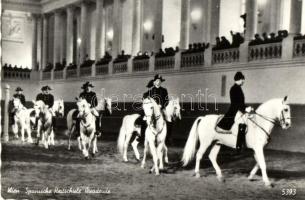 31 db MODERN lovas motívumlap / 31 modern horse motive cards