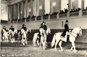 31 db MODERN lovas motívumlap / 31 modern horse motive cards