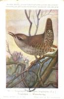 71 db MODERN énekes madár motívumlap / 71 modern birds motive cards