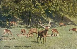 71 db MODERN szarvas és őz motívumlap / 71 modern deer motive cards