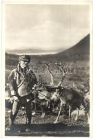 71 db MODERN szarvas és őz motívumlap / 71 modern deer motive cards