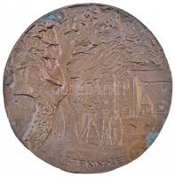 Soltra Elemér (1922-2013) 1986. "Szobotka Imre festőművész 1890-1960 / Zsennye" Br emlékpl...