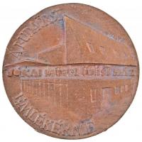 Rajki László (1939-) DN "Budaörsi Jókai Művelődési Ház Emlékérme / Jókai Mór 1825-1904" Br...