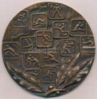 Rajki László (1939-) 1983. "Az Év Sportolója - Békés Megyei Népújság" Br díjplakett (117mm...