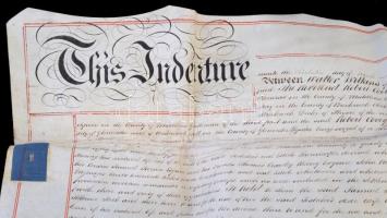 1833 Walter Wilkins (Maeslough, Radnor Esquire) végrendelete, angol nyelven, papíron, rányomott vias...