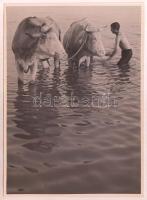 cca 1933 Kinszki Imre (1901-1945): Weekend an der Donau, aláírt, pecséttel jelzett vintage fotóművészeti alkotás, 17,5x13 cm