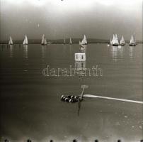 cca 1965 Sinka Antal (?-?), az Agrokomplex egykori fotósának 6 db vintage negatívja a Velencei-tó sp...