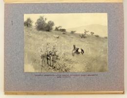 Bársony István: Magyar Földön. Természet és vadászat.Olgyay Ferencz képeivel. Első kiadás. Budapest,...