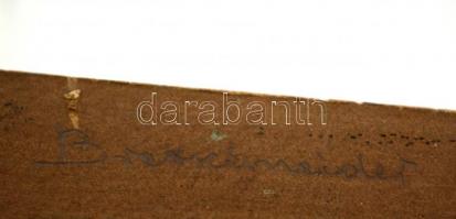 Brettschneider Rudolf (?-?): Női félakt. Olaj, karton, hátoldalán jelzett, 25×20 cm