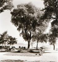 cca 1960 Balatoni felvételek, 21 db szabadon felhasználható vintage negatív Kotnyek Antal (1921-1990...