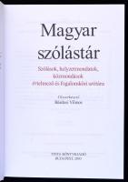 Magyar szólástár. Szólások, helyzetmondatok, közmondások értelmező és fogalomköri szótára. Főszerkes...