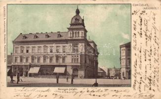 Arad, Neuman-palota, Lengyel L. kiadása / palace (kis szakadás / small tear)