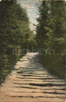 Balatonszemes, Faluszemes; Feljárat a felső sétányhoz  (EK)