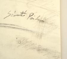 Szántó jelzéssel: Szirmok. Szén, papír, felcsvarva, 58×39 cm