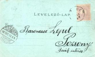 1898 Lőcse, Levoca; Városháza, megyeháza, városi főkapu, katolikus templom, kiadja Braun Fülöp, Krec...