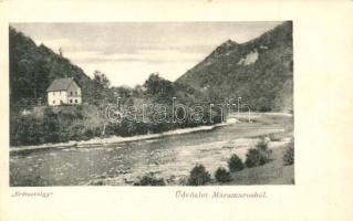 Tiszavölgy, Erdészvölgy; Wizner és Dávid tulajdona