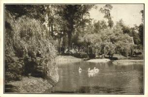 Budapest XIV. Állatkert, gödények a tavon, az Állatkert kiadása (EK)