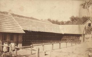 Öreglak - 2 db RÉGI fotóképeslap Méhes László méhészetéről, egy külső- és egy belsőnézetes lap / 2 p...