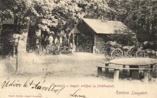 Lengyel, vendéglő az erdőben, Hoffer József kiadása (vágott / cut)