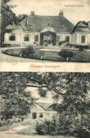 Domony, Segesváry kastély, Domonyi Ödön kastély (fa)