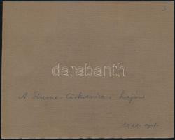 1911 A Fiume-Cirkvenica járaton, fotó, kartonra ragasztva, hátulján feliratozva, 8×10 cm