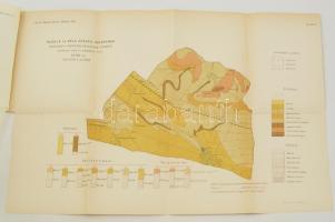 1896 Muzsla és Béla község határainak részletes agronóm-geológiai térképe, terv. Horusitzky Henrik, ...