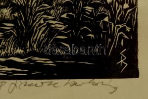 Olvashatatlan jelzéssel: Jézus szíve kápolna Székelyudvarhely. Linó, papír, jelzett, 22×32 cm