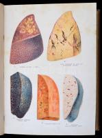 Báró dr. Kétly László: A család egészsége. Népszerű orvosi tájékoztató és tanácsadó. Budapest, é.n.,...