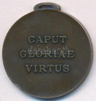 ~1910. "Nicolas de Genere Huba 1903 / Caput Gloriae Virtus (Legfőbb dicsőség a vitézség)" ...