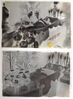 cca 1940 Hajdu János (?-?) csongrádi fényképész 13 db vintage üveglemez negatívja különféle témákról, 10x15 cm