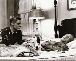 ,,Ötös számú vágóhíd" című film állóképei, 25 db negatív, ezekről készültek a mozik előcsarnoká...